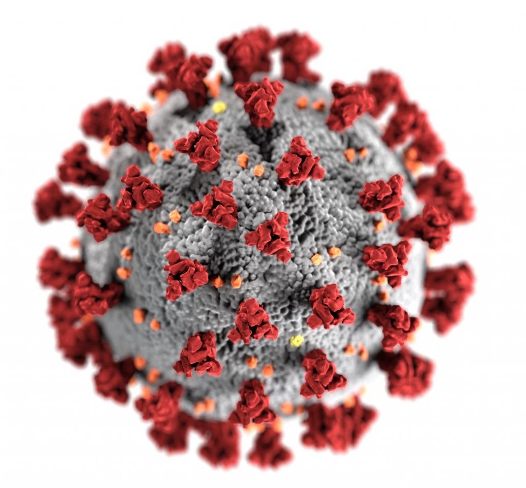 Coronavirus in Australia- A factual text