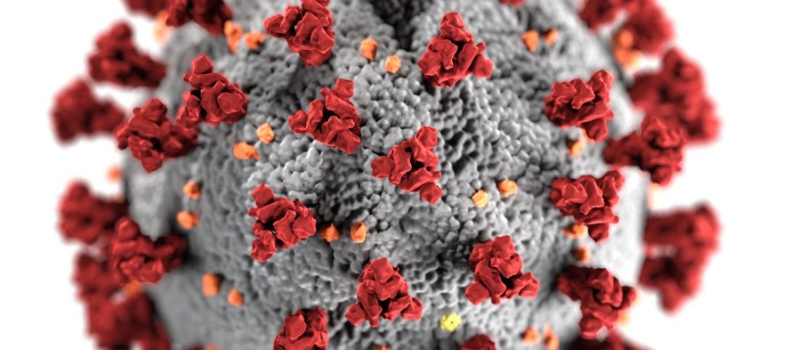Coronavirus in Australia- A factual text